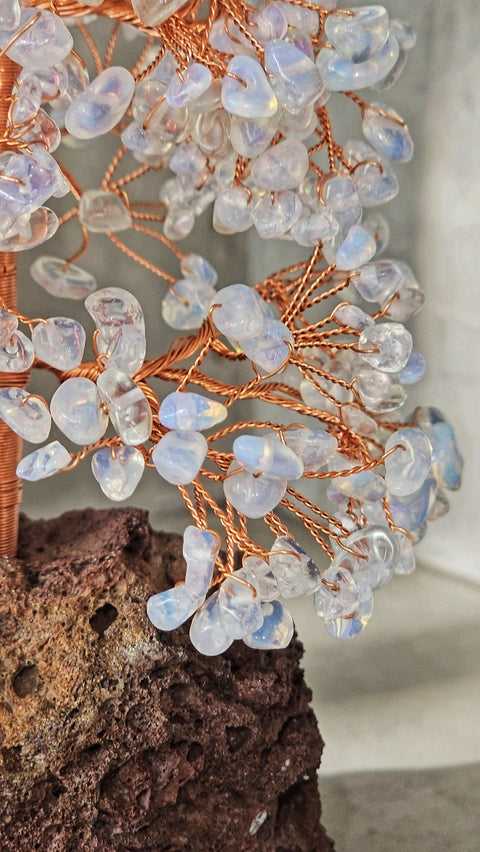 Large wire trees set in 8000 year old lava.