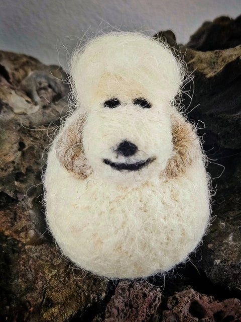 Icelandic Wool Sheep