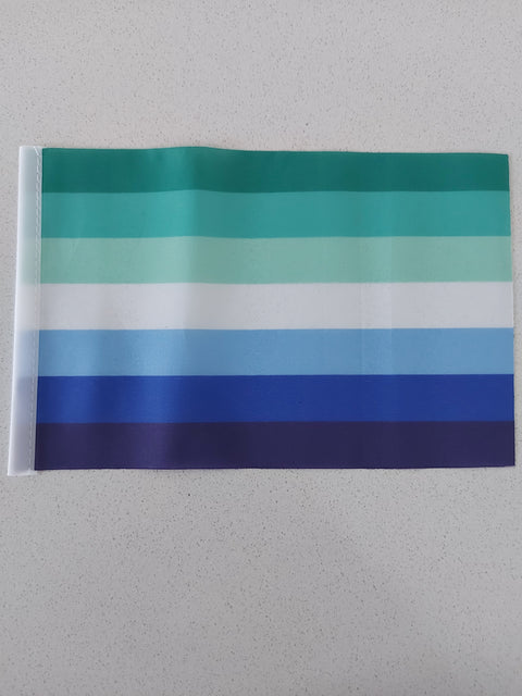 Small Pride Flags