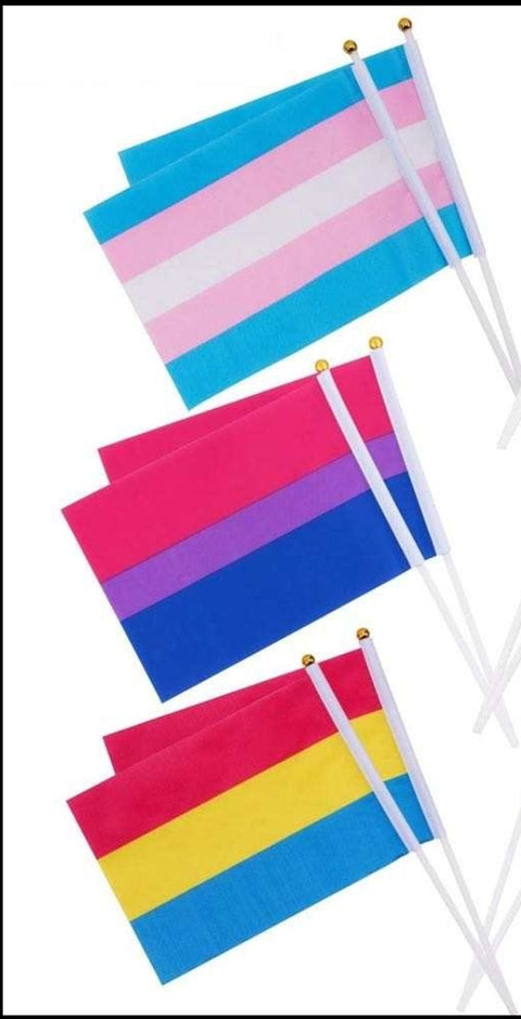 Small Pride Flags