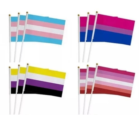Small Pride Flags