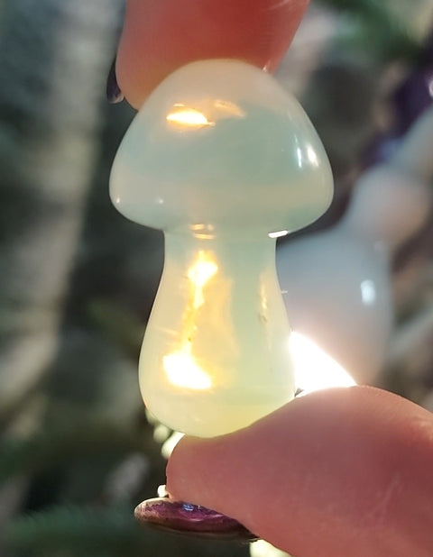 Crystal Mushrooms