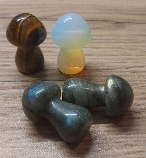 Crystal Mushrooms