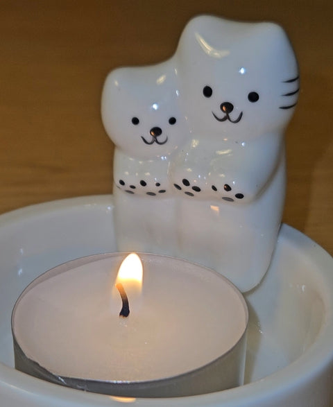 Untitled 20Oct_17:58