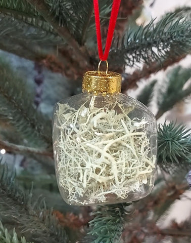 Glass Baubles Filled With Icelandic Nature