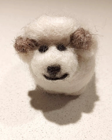 Icelandic Wool Sheep